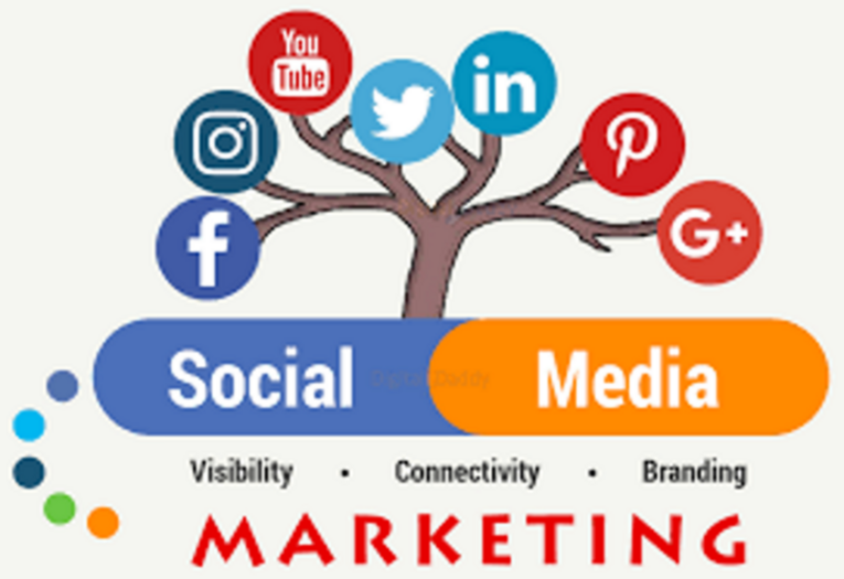 Best Digital Marketing fresher resumes in Coimbatore